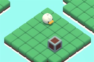 Push the Box